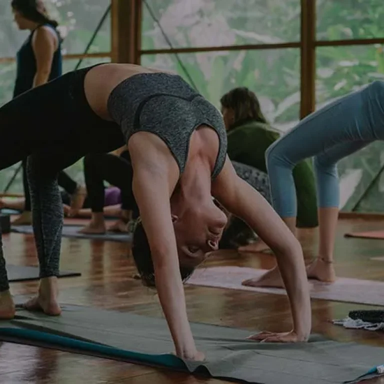 What-is-Vinyasa-Yoga-Header-Desktop